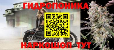 индика Кунгур